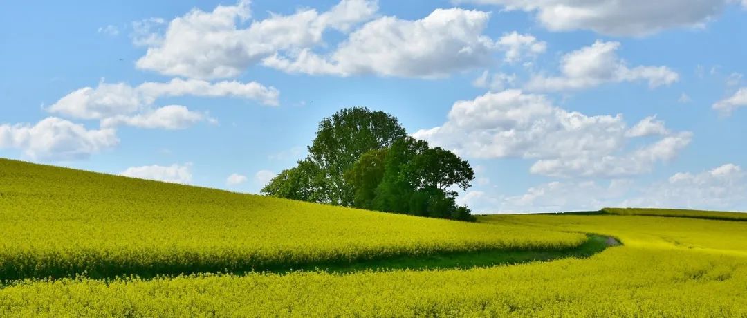 PhiFlow：一个开源的流体求解器-析模界