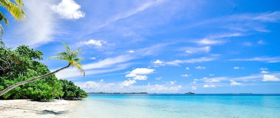 网络求助的一些建议-析模界