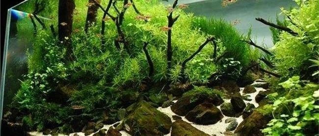 FLUENT水中注气过程模拟-析模界