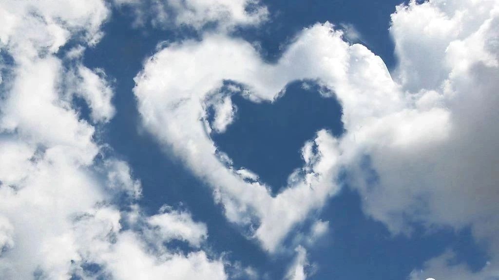 扩散器中的分离湍流流动-析模界