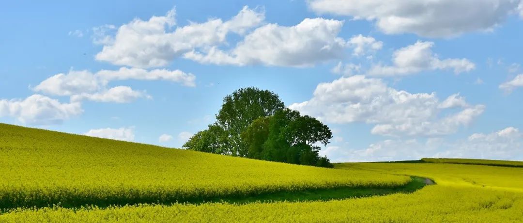 扒了2285份CFD仿真职位，瞄了一眼~-析模界