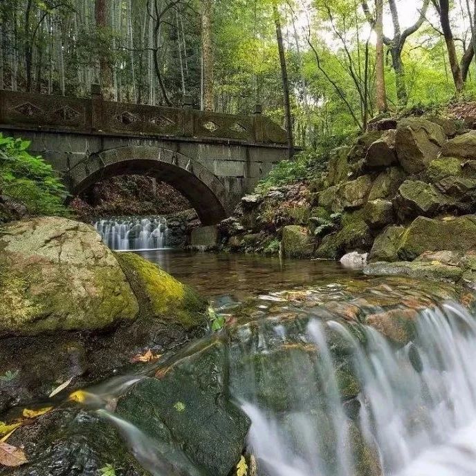 当数学遇上古诗词，太妙了！-析模界