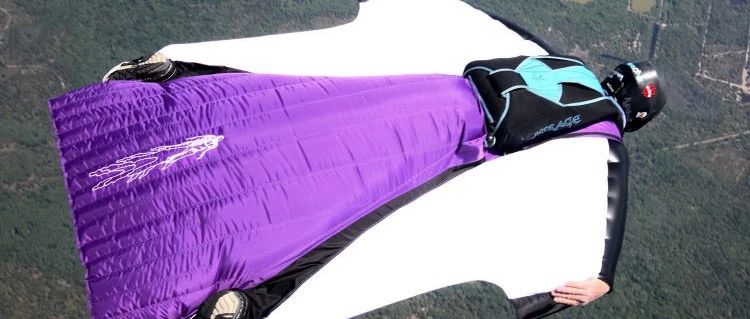 FLUENT翼装飞行模拟-析模界