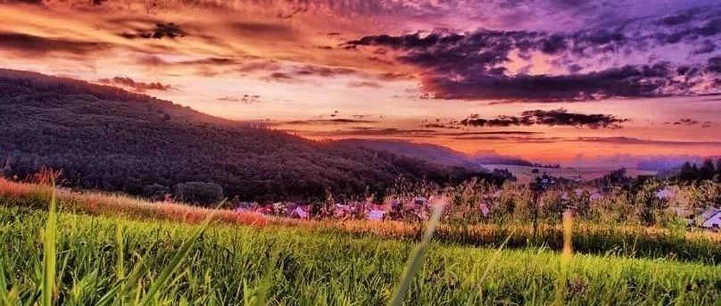 FLUENT科里奥利斯流量计流动模拟-析模界