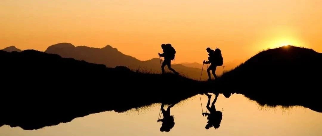 FLUENT填充床反应器模拟-析模界