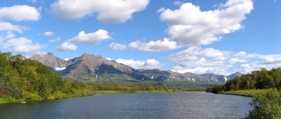 Fluent中的各种面积分计算方法-析模界