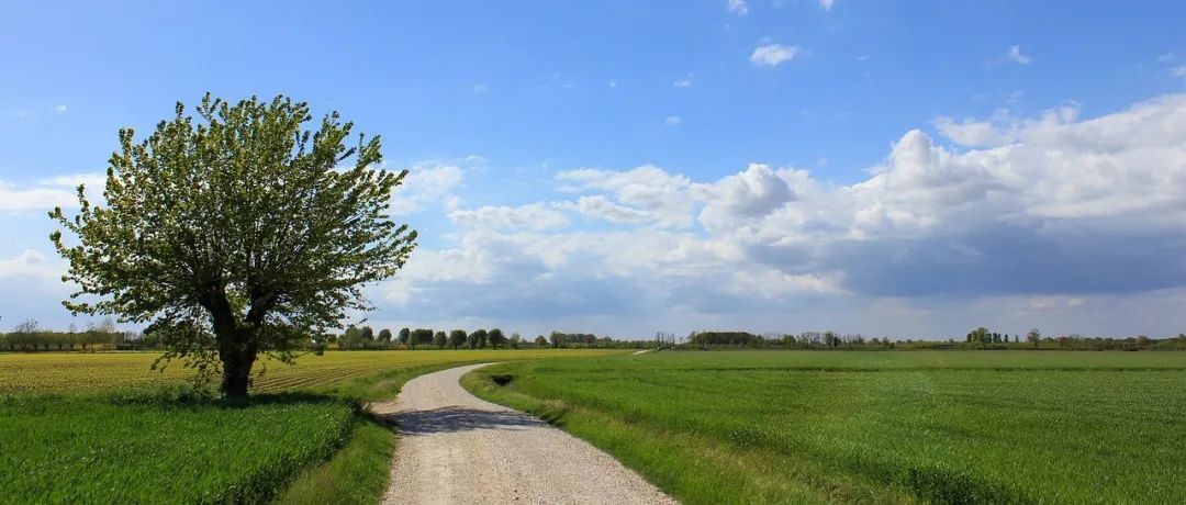 Fluent中的残差计算-析模界
