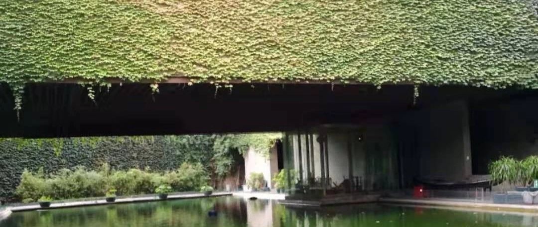 FLUENT闸门释放模拟-析模界