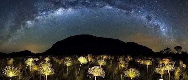 FLUENT/Mechanical流固双向耦合模拟-析模界