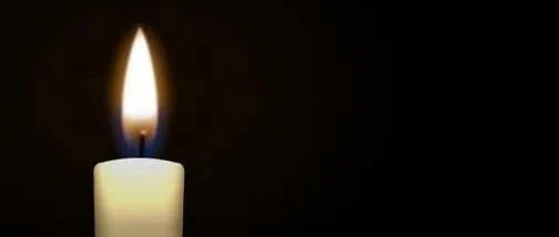 FDS蜡烛燃烧模拟-析模界