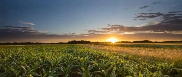 FLUENT壁面吸附模拟-析模界