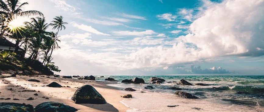 Rocky案例|振动筛-析模界