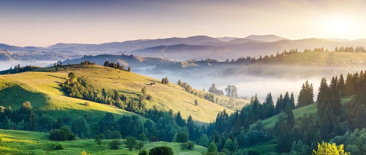 Fluent案例|2D风扇区域-析模界