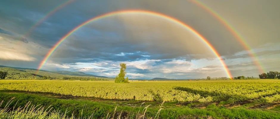 几款自动生成视频字幕的软件-析模界