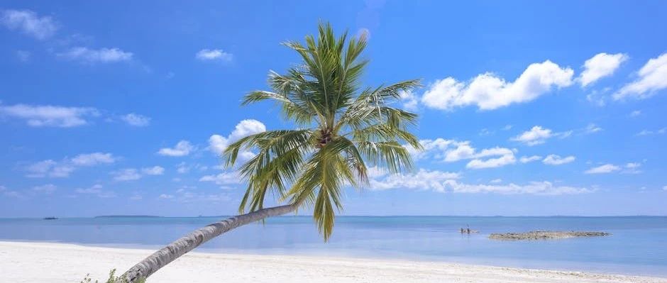 【Fluent验证案例】课程重录说明-析模界