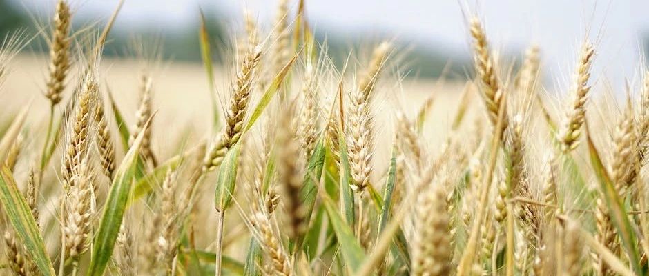 Fluent收敛控制的一些个人经验-析模界