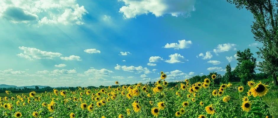 ANSYS CFD的那些前处理工具-析模界