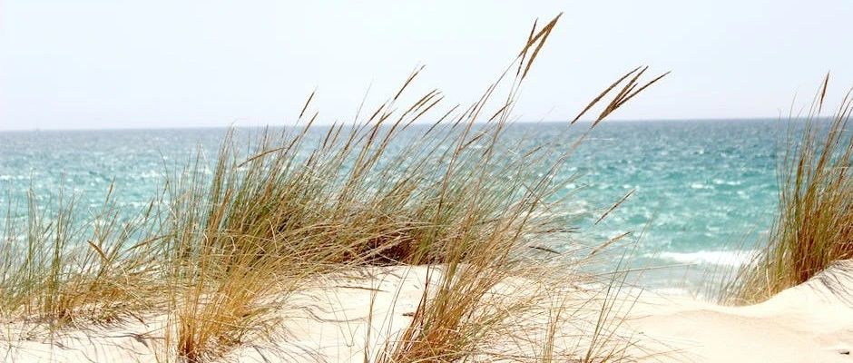 利用SCDM创建三维映射网格-析模界