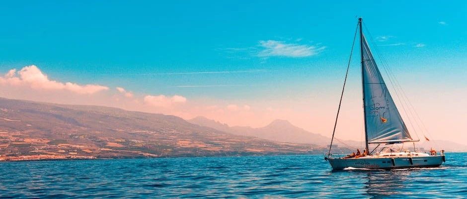 《The OpenFOAM® Technology Primer》翻译状态-析模界