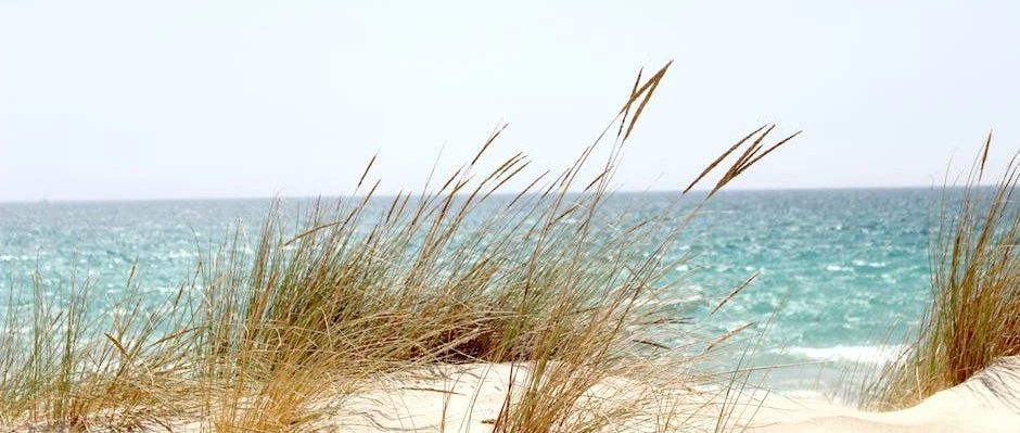 Fluent Meshing案例|02 图形操作-析模界