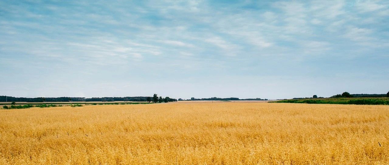 Fluent Meshing案例｜09 FTM工作流程-析模界