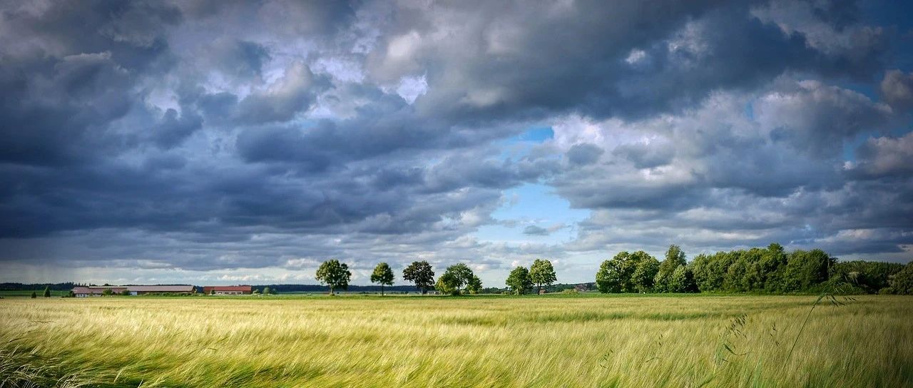 Fluent Meshing案例|03 从CAD几何到网格-析模界