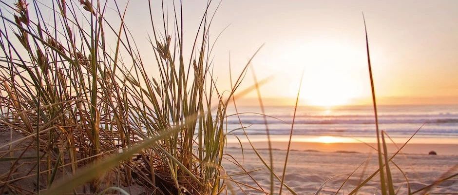 Fluent Meshing案例｜07 几何包面-析模界