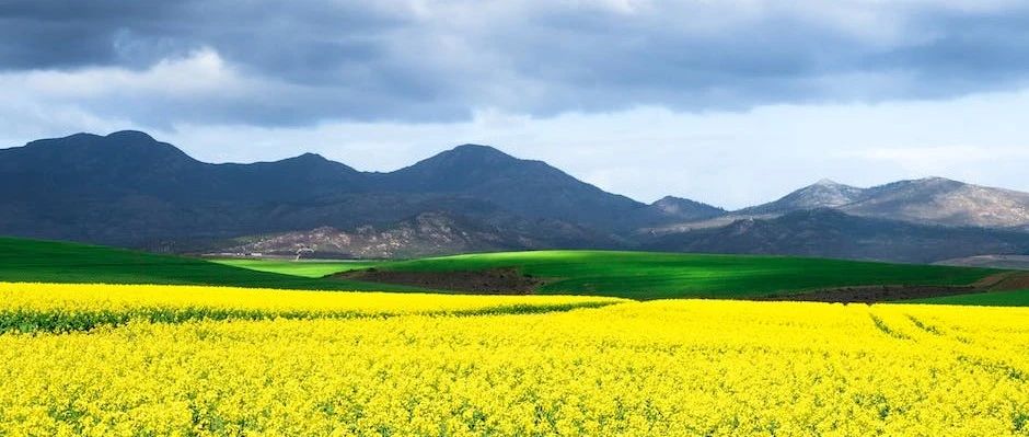 Notion Ai居然能用了-析模界