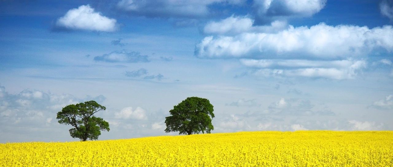 ANSA极简案例｜02 几何修补-析模界