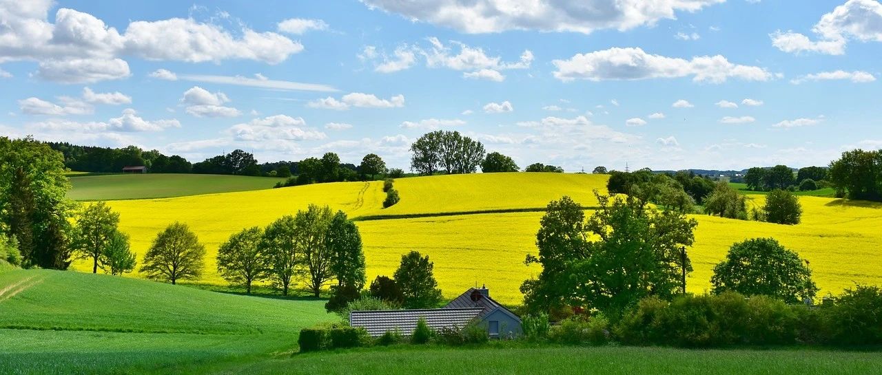 ANSA极简案例｜03 网格尺寸控制-析模界