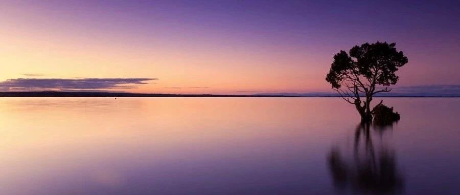 北京| Fluent传热仿真应用培训-析模界