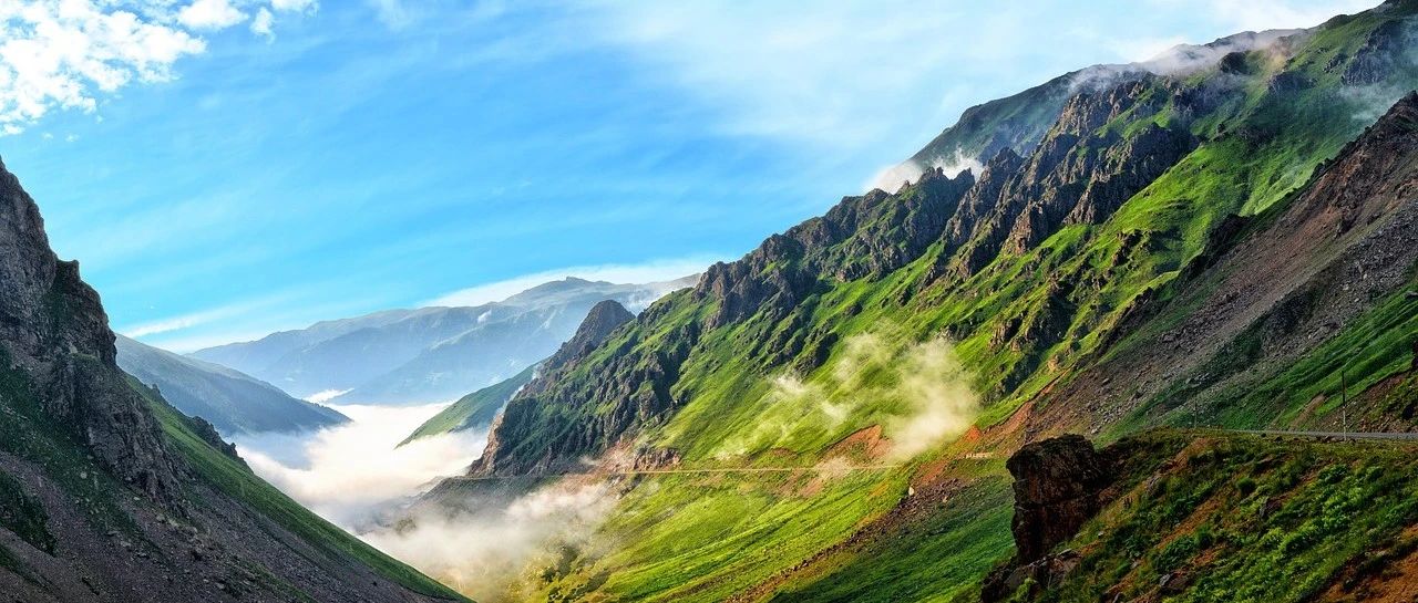 Fluent验证案例|74 弧形凸块上的超音速流动-析模界