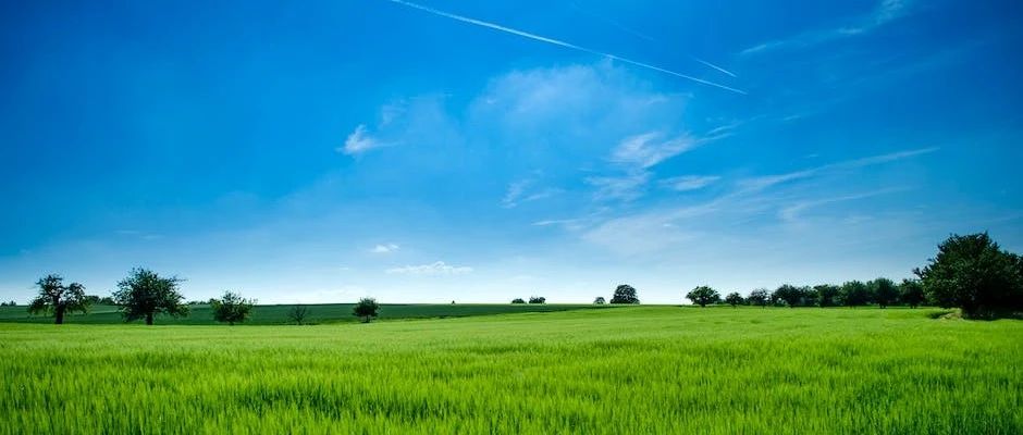 差生文具多:麦克风-析模界