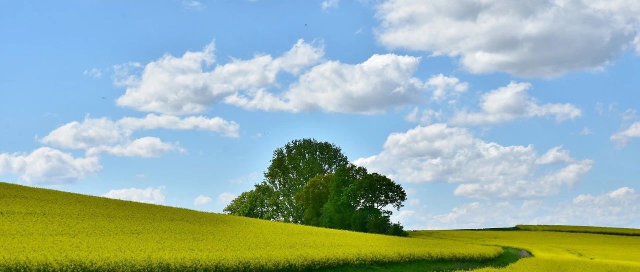 Fluent案例|聚合物挤出-析模界