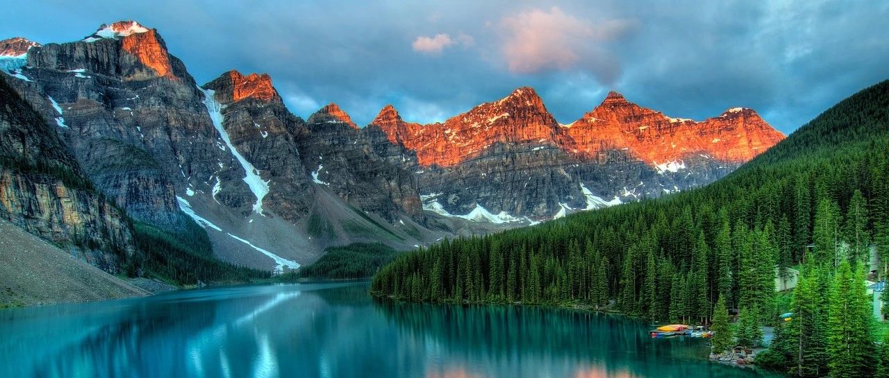 Fluent案例|质子交换膜电解槽模拟-析模界