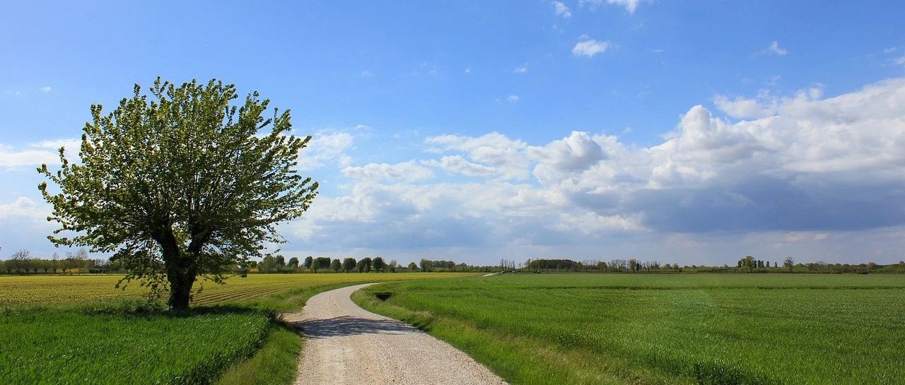 简单案例演示传统CFD和PINN-析模界