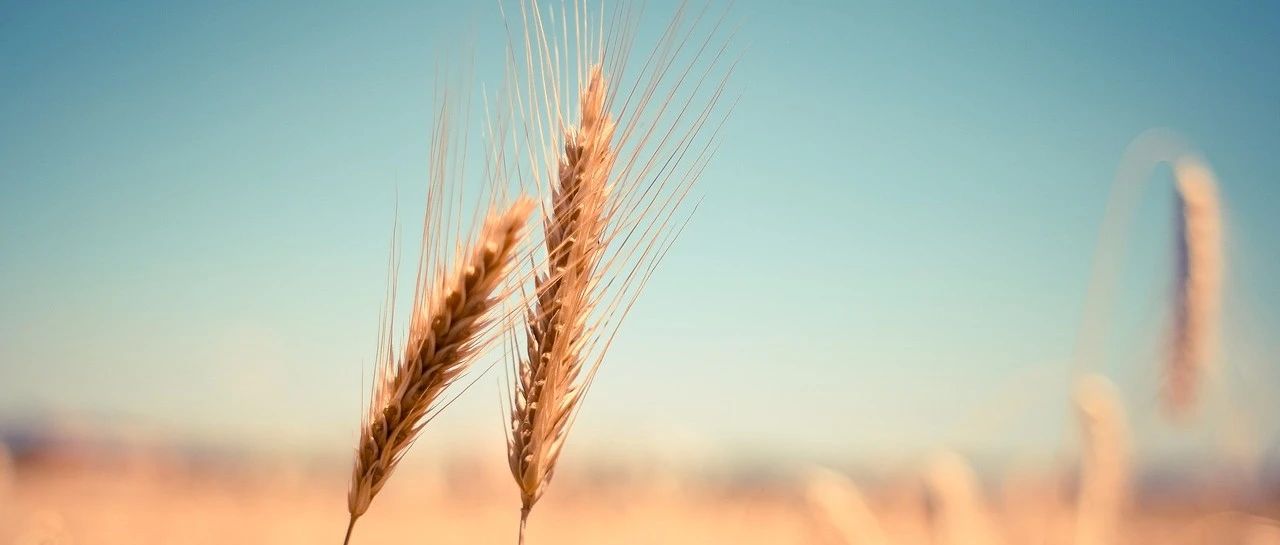 CFD理论与应用-析模界