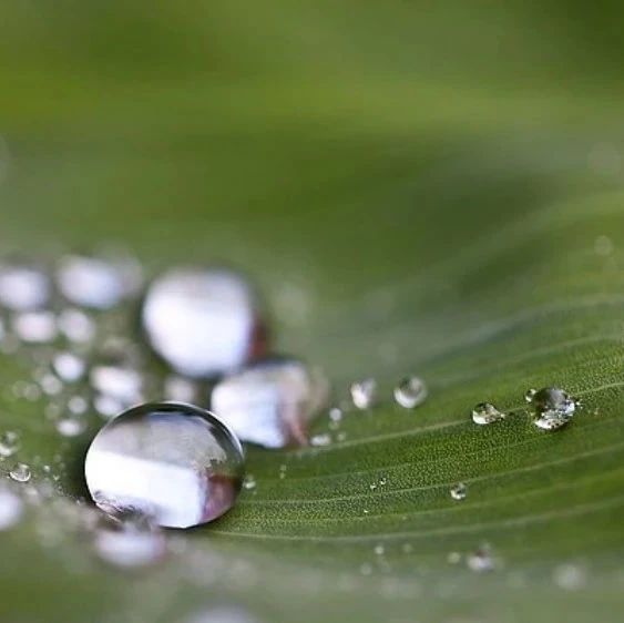 西安｜Fluent流固热多物理场耦合仿真专题-析模界