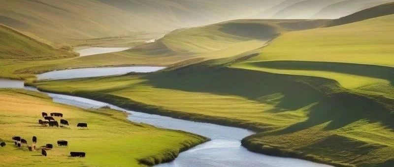 中文版扣子，值得耍一耍-析模界