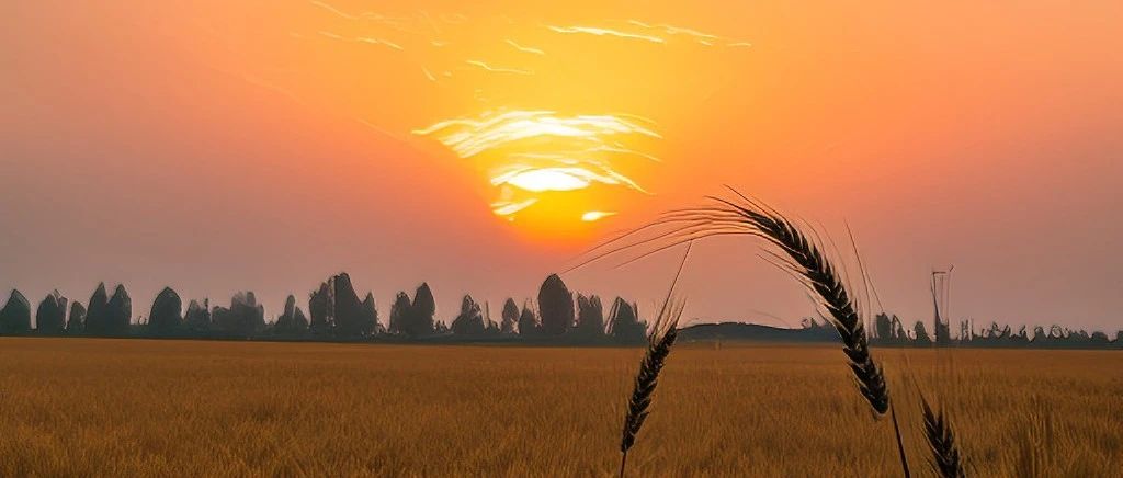 国内网络访问CFD问答机器人-析模界