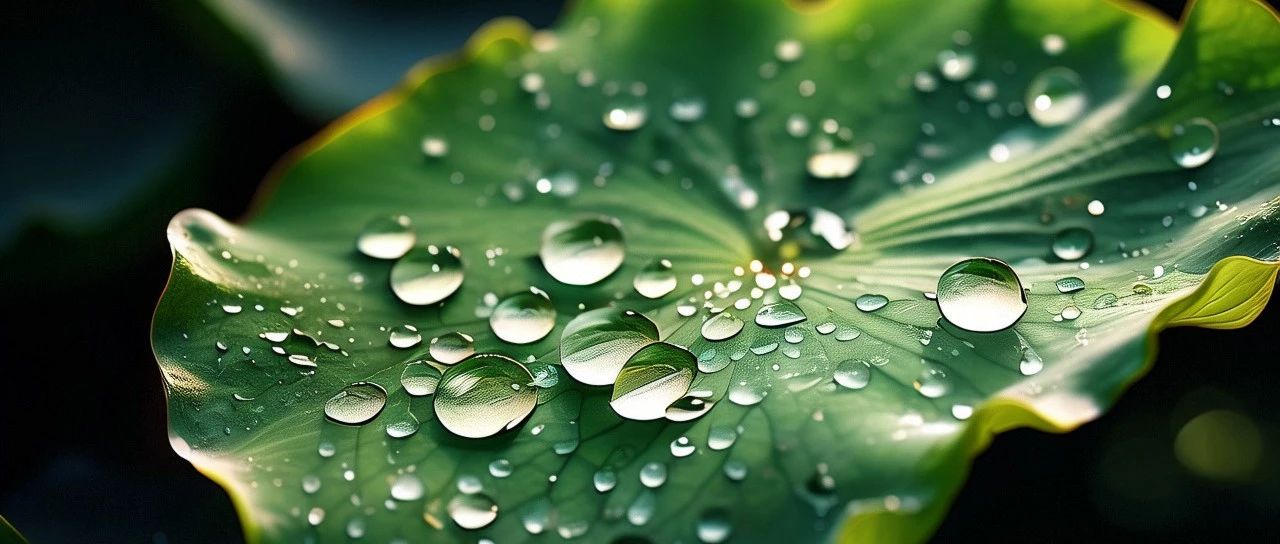 Barracuda v24.0版本安装-析模界