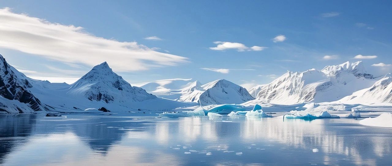 多面体网格介绍-析模界