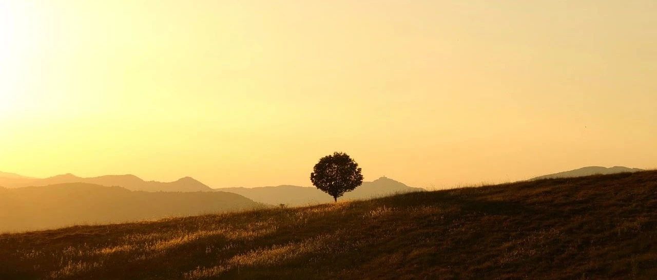 网站服务器续费,又可以耍三年-析模界