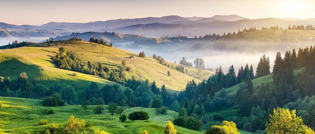 使用谷歌Gemini 2.0-析模界