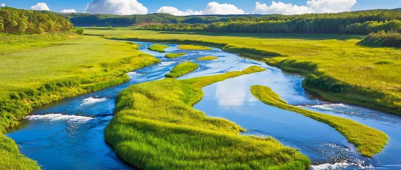 差生文具多|让PotPlayer自动识别字幕并翻译,摆脱语言障碍-析模界